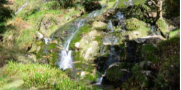Now available: synthesis document detailing whats known about the importance of small streams.